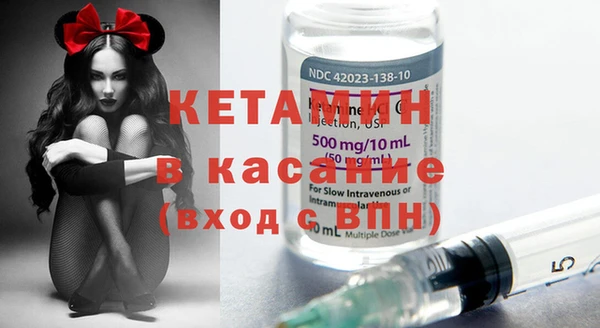 индика Нязепетровск