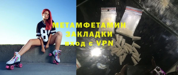 индика Нязепетровск