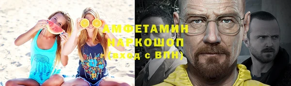 стафф Новозыбков