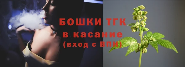 индика Нязепетровск
