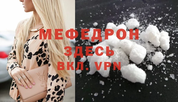 индика Новодвинск