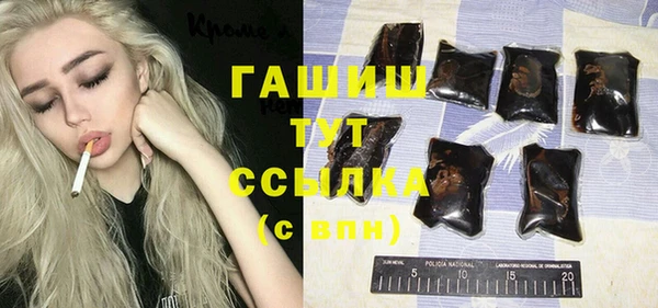 индика Новодвинск