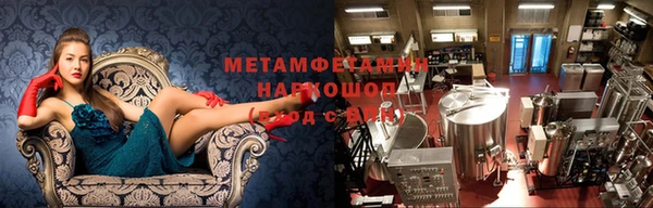 прущие грибы Нягань