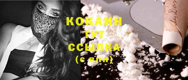 стафф Новозыбков