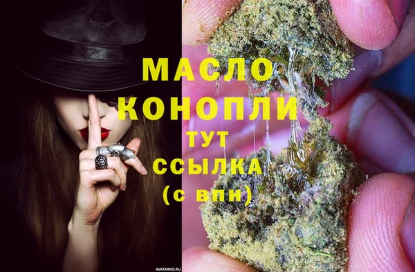 индика Нязепетровск