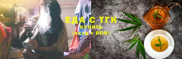 индика Нязепетровск
