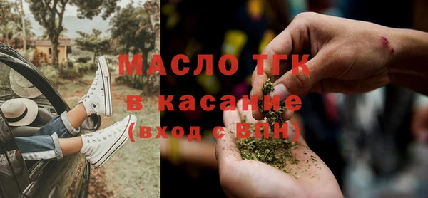 индика Нязепетровск