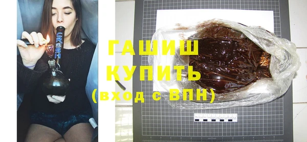 индика Новодвинск