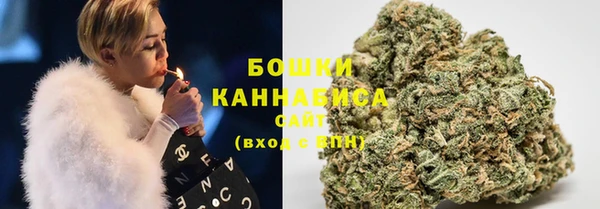 индика Нязепетровск
